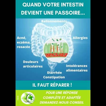 Affiche comptoir INTESTINOV