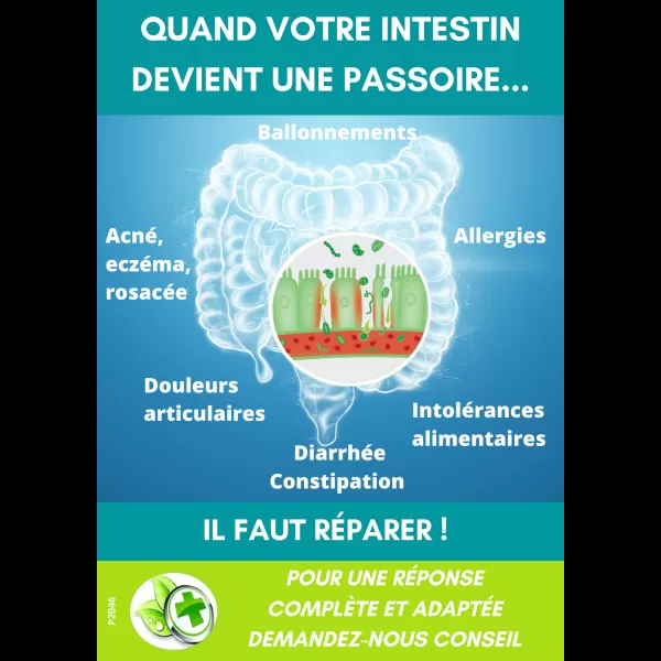 Affiche comptoir INTESTINOV