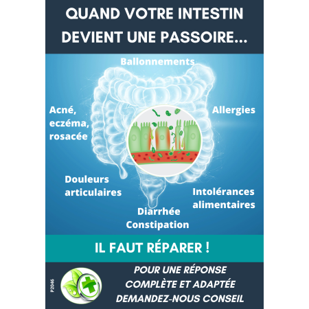 Affiche comptoir INTESTINOV