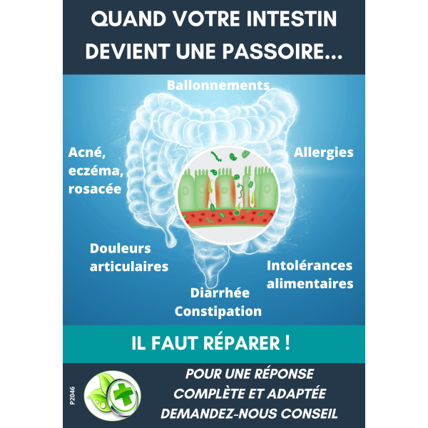 Affiche comptoir INTESTINOV