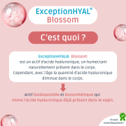 GYNAE HYAL - 30 Gel.
