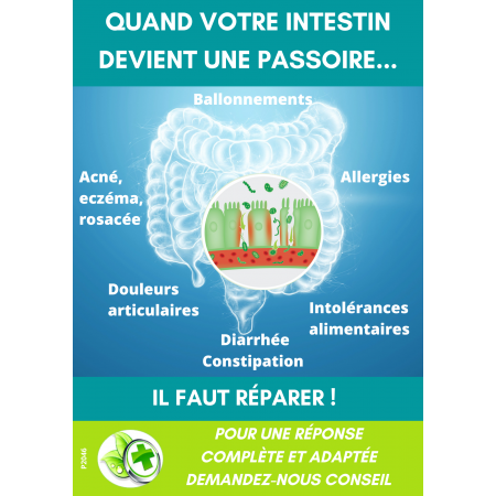 AFFICHE COMPTOIR INTESTINOV(x5)