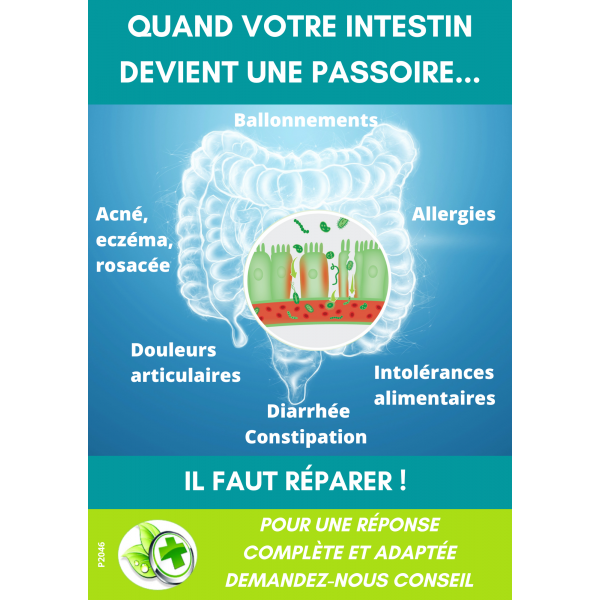 AFFICHE COMPTOIR INTESTINOV(x5)