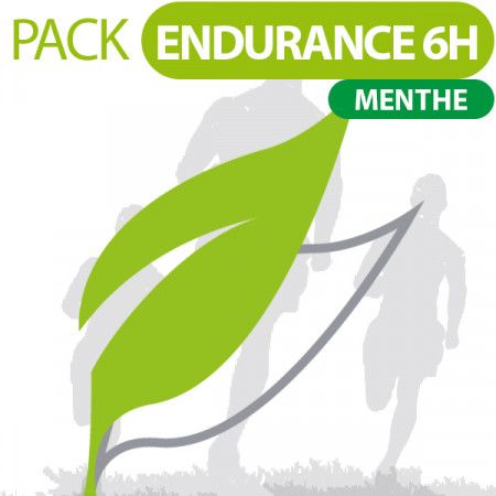 PACK Endurance Sport 6H Menthe