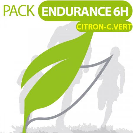 PACK Endurance Sport 6H Citron-citron vert