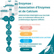 ENZYMAE - 20 Gel.