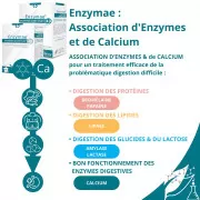 ENZYMAE - 20 Gel.
