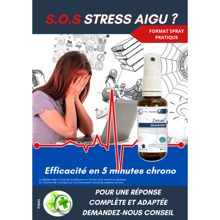 AFFICHE COMPTOIR ZENAE (x5)