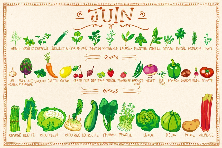 Fruits et légumes de saison - Juin