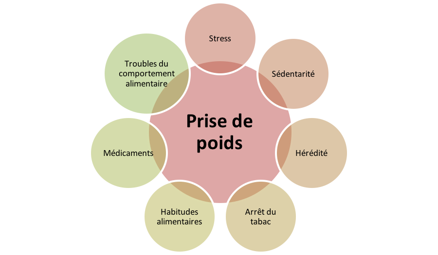 Origines et conséquences de l'excès de poids