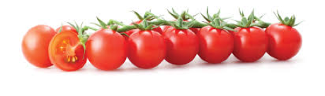 Alimentation soleil lycopène tomates