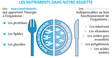 les nutriments et mcironutriments présents dans notre assiette