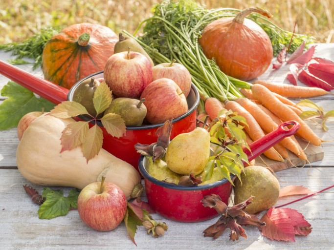 Fruits et légumes d'Automne