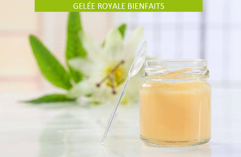 Gelée royale bienfaits