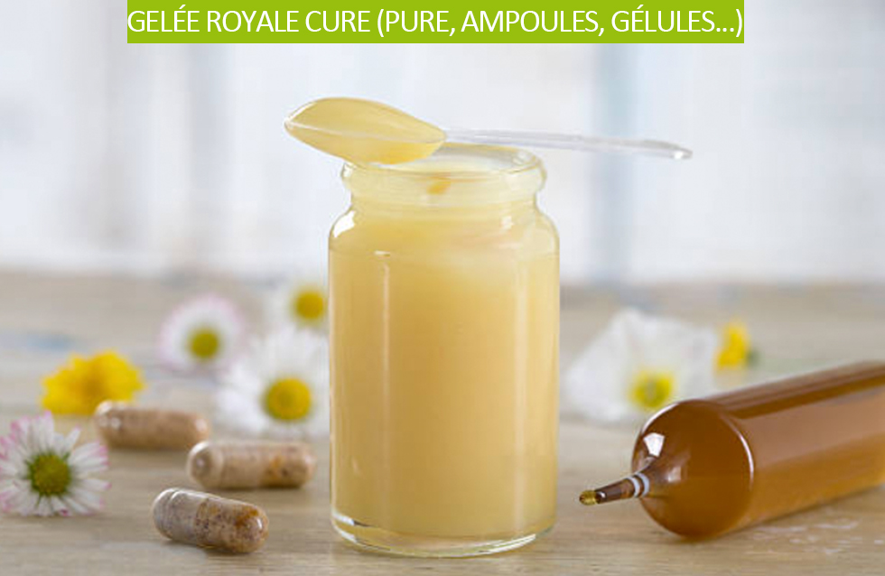 Gelée royale cure