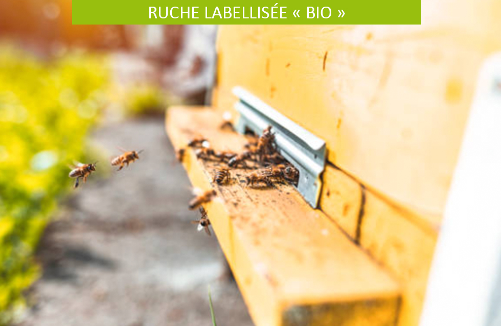 Ruche avec label Bio