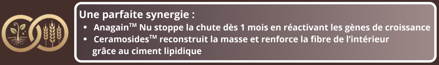 Synergie d'actifs Capilinov