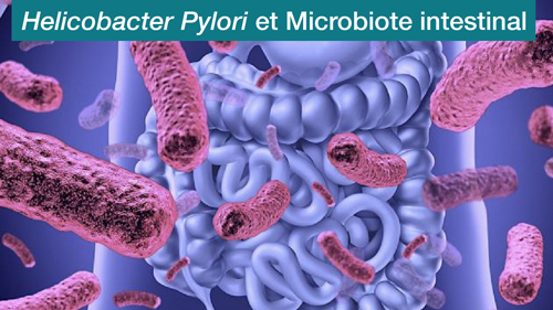 Helicobacter Pylori et Microbiote