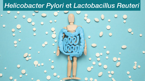 Helicobacter Pylori et probiotiques